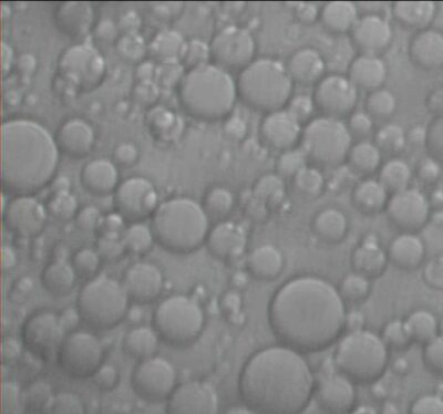 Particle Size Chromatography Beads